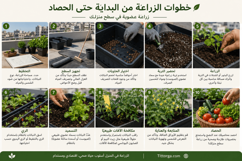 الزراعة الحضرية: كيف تزرع غذاءك فوق سطح منزلك 8 صور متسلسلة لعملية الزراعة من البداية حتى الحصاد.